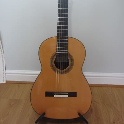 Steve Toon Concert Classical Guitar 2002 for sale