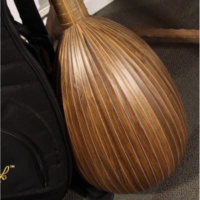 Roosebeck Deluxe 6-Course Lute Walnut image 5