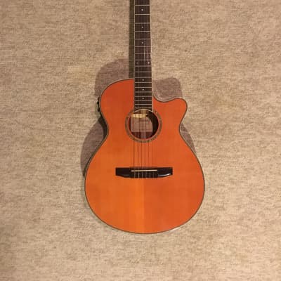 Ibanez AEG10NIITNG AE Series Acoustic-Electric Guitar for sale