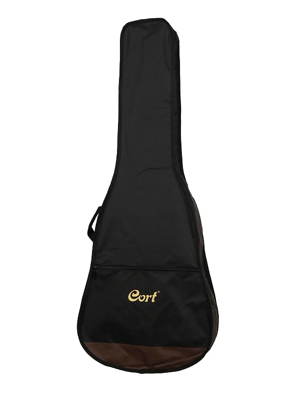 Gold Series Acoustic Guitar With Pickup And Preamp Cutaway Reverb 3941