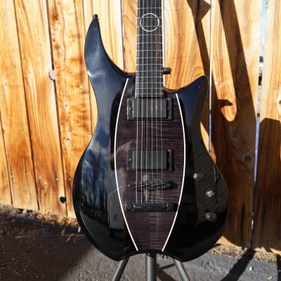 Framus D Series Artist Line Devin Townsend Stormbender - Solid Black High Polish  6-String Electric Guitar w/ Gig Bag (2022) image 4