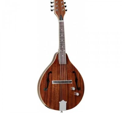 Mandoline Folk Electro Forme A Tanglewood TWMTMHSTE CN for sale