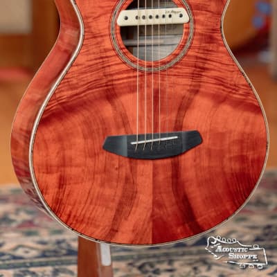 Breedlove Tom Bedell's Blues Orange Vintage Edition All Myrtlewood Concertina Cutaway Acoustic Guitar w/ LR Baggs M1 Pickup #9079 image 7