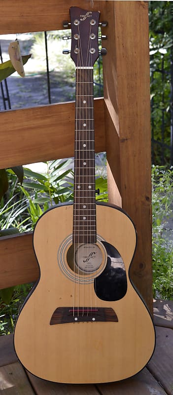 First-Act-Guitar-Mg394.png