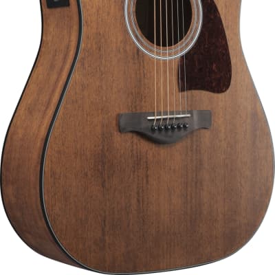 Ibanez AW54CE-OPN Artwood Series Acoustic Electric Guitar Open Pore Natural with Free Setup image 3