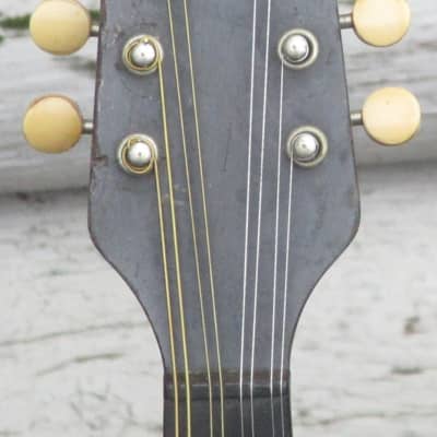 Gibson A Junior mandolin, snakehead, 1927 image 3
