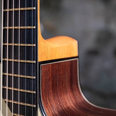 Salz Guitars PS 2023 - Swiss moon spruce & Indian rosewood image 5