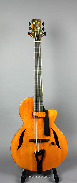 ギター FIBONACCI GUITARS ProtoModel ES-335type The Fibonacci