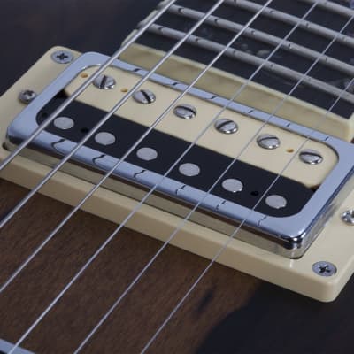 Schecter Avenger Exotic Ziricote image 8