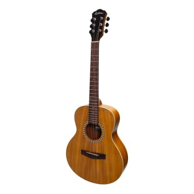 Jay Turser JTA-CRA-6S NG Giannini エレアコ 日本未発売】 Electric Acoustic Giannini NG JTA-CRA-6S Turser