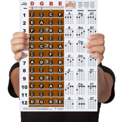 Laminated Baritone Ukulele Fretboard Notes & Chord Chart | Reverb