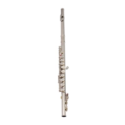 Nickel Plated C Closed Hole Concert Band Flute 2020s - Silver image 9