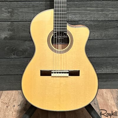 Cordoba Fusion 14 Maple Spruce Top Nylon String Acoustic-Electric Guitar image 1