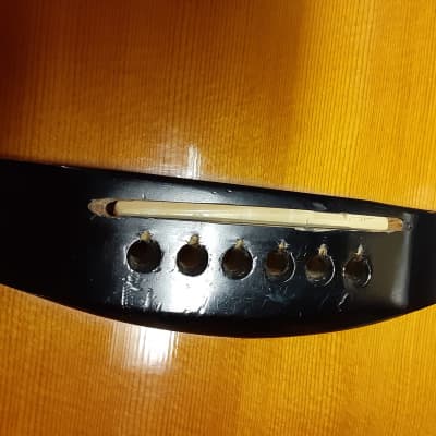 Vantage CL15 LT Craviola Style MIJ 1980- '89 / Fishman