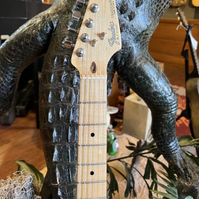 Fender Stratocaster Partscaster Build w/ Hard Shell Case image 9