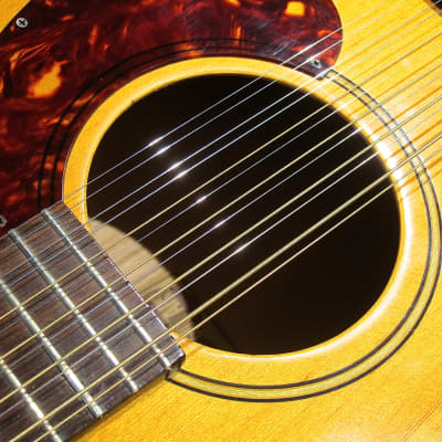 Vintage 1965 Hoyer 12 String Acoustic Guitar Near Mint Vintage 12 String with Near Mint Vox Case image 21