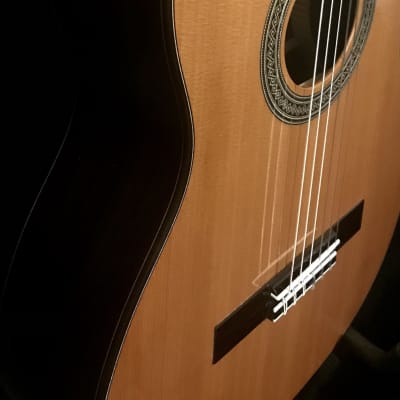 Kenny Hill New World Estudio Classical Guitar, 650mm Cedar/Indian Rosewood 2021 image 2