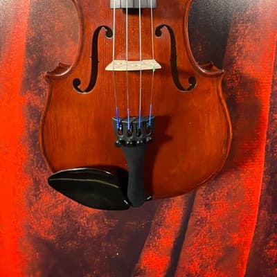 Carlo Robelli CR209 Violin (Tampa, FL) image 6