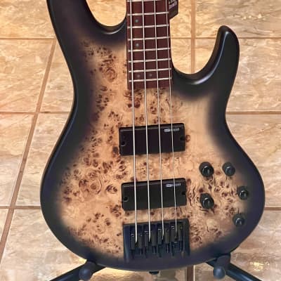 ESP LTD D-4 Electric Bass Guitar (Black Natural Burst Satin) image 1