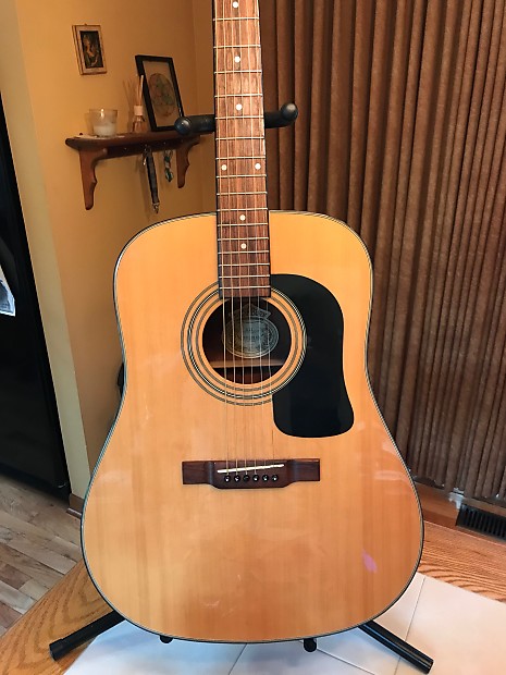 Washburn d10n new arrivals