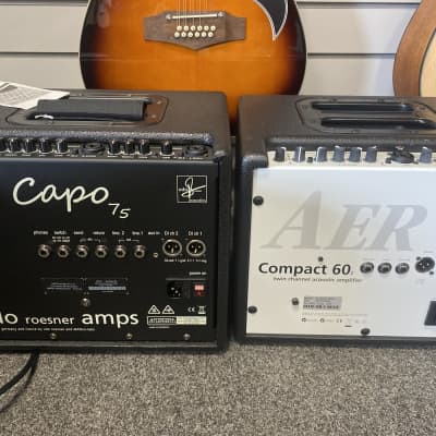 Udo Roesner Da Capo Acoustic Amplifier image 3