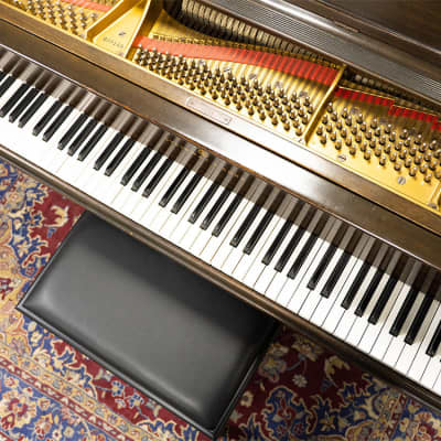 Steinway & Sons L WAL Grand Piano | Satin Brown | SN: 259149 image 4