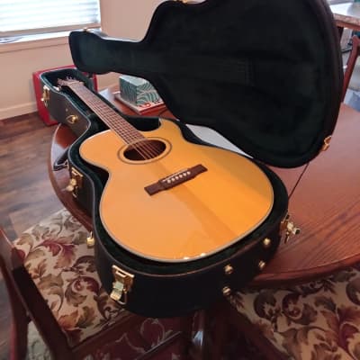 Washburn EA9 acoustic Early 2000s - Bright image 9