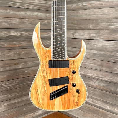 BC Rich Shredzilla 8 Fan Fret Prophecy Archtop Guitar Spalted Maple (0981) image 1