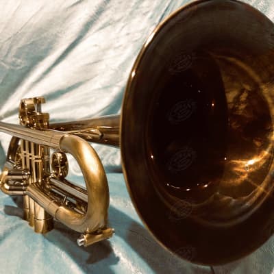TAYLOR CUSTOM Bb TRUMPET "LOUISIANA"—Amazing Tone+Gorgeous. One-Of-A-Kind. From a Hollywood film!!! image 1