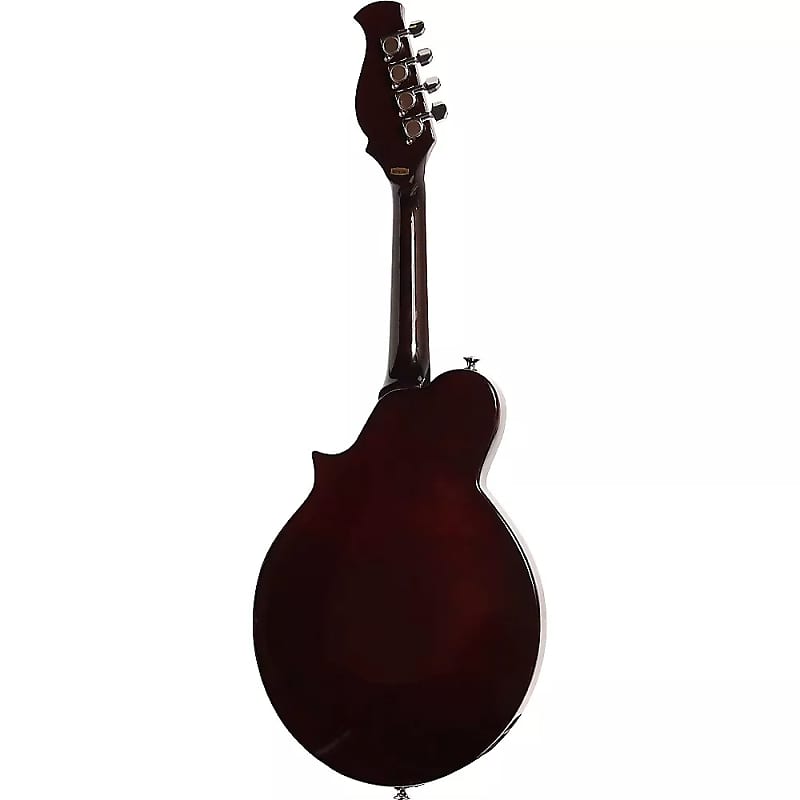 Kentucky KM-300E 4-String Electric Mandolin image 2