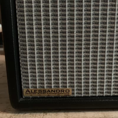 Alessandro Modified Fender Princeton Reverb w 12" Speaker w/ NOS Tubes image 4