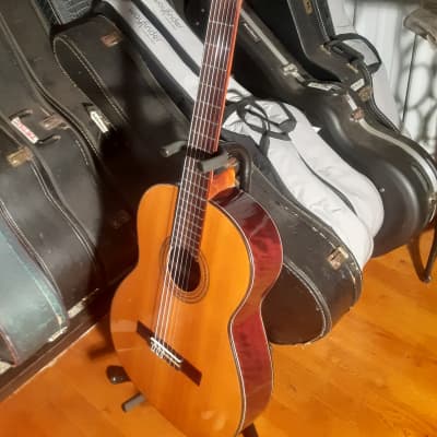 Vintage Orlando 304 Classical Acoustic Guitar MIJ Solid Top image 4