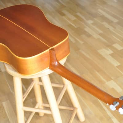 LAKEWOOD D-8 Dreadnought / All Massive / 1992 Made In Germany (Musima Factory) image 10