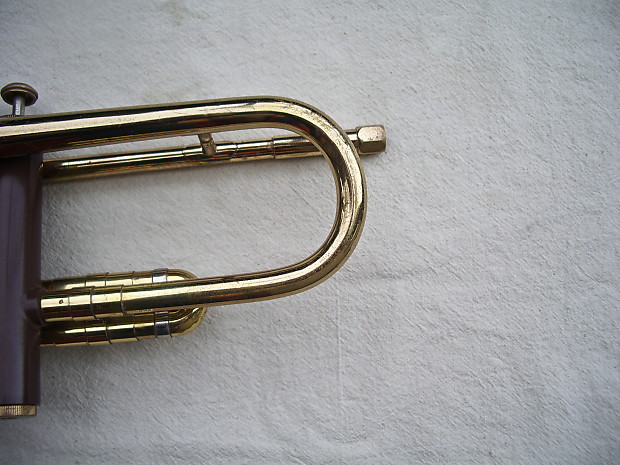 Olds 2025 pinto trumpet