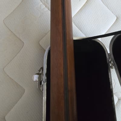 Simon & Patrick Cutaway Gloss Top GT Cedar QIT Concert Hall