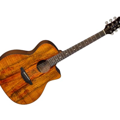 Luna Gypsy Exotic Spalt Acoustic Guitar - Used for sale