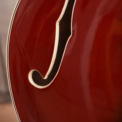 Crucianelli Elite – 1960s Italian Vintage Archtop Hollowbody ES-335 Style Guitar image 9