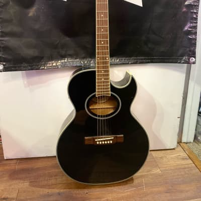 Washburn ea9f shop