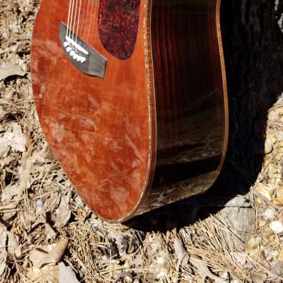 Crystal Forest CFSS Custom Shop Sitka Spruce / Rosewood Dreadnought 2019 Reddish brown image 4