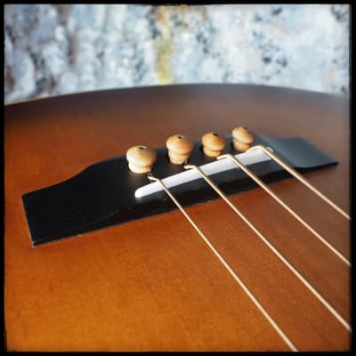 Morgan Monroe Creekside MVAB-500 Acoustic Bass image 12