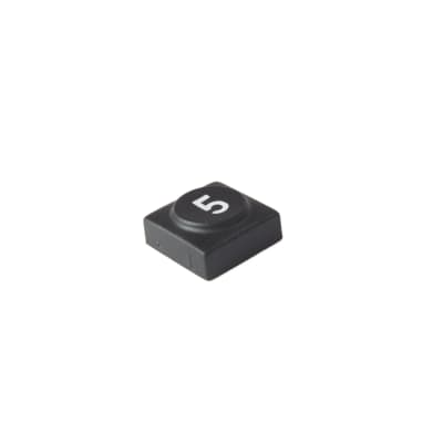 Oberheim - Xpander , Matrix 12 - Black panel switch cap with numeral '5'