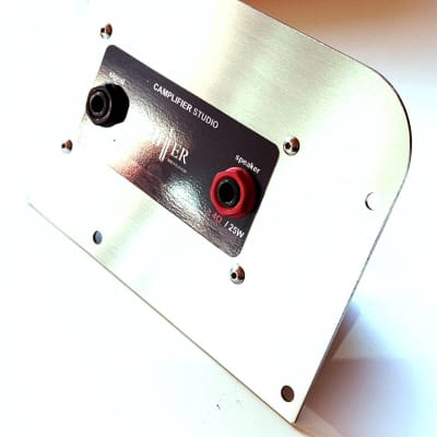 Ritter Camplifier Studio Amp 25 Watt for Kemper Profiler w/ Power Supply TOP image 4