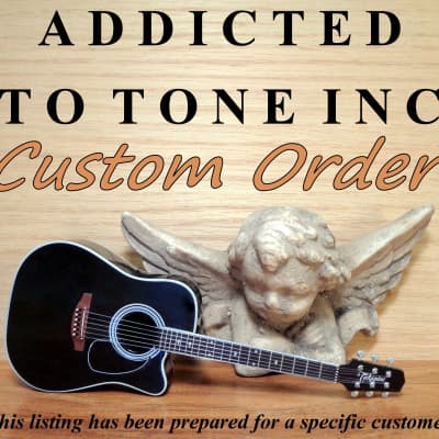 AddictedToToneInc Custom Order /  Preamp Mounting Chassis Assembly image 2