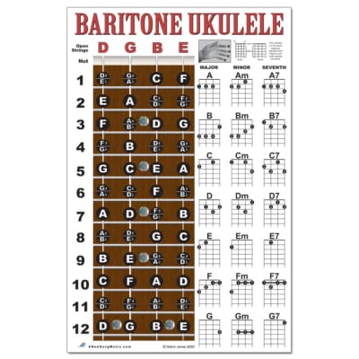 Laminated Ukulele Fretboard Notes & Easy Beginner Chord Chart 11x17  Instructional Poster for Soprano Concert Tenor Uke by A New Song Music