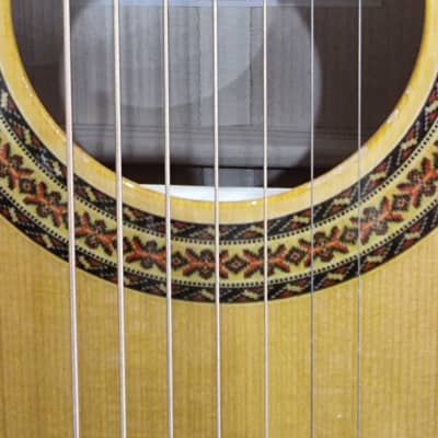 HORA 7 String Acoustic Guitar image 8
