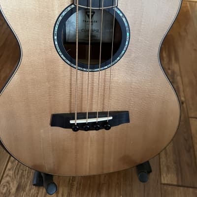 Traveler Guitar 4 String Acoustic-Electric Bass Guitar (CL3BE SPSE) image 7