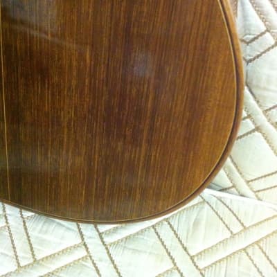 Eugene Clark Classical 1974 Brazilian Rosewood and Spruce image 9