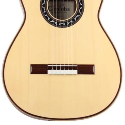 Cordoba Esteso SP Spruce Top Luthier Select Acoustic Classical Guitar image 7