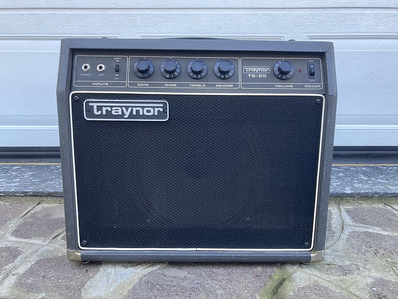 Traynor TS 25 80s Grey | Reverb