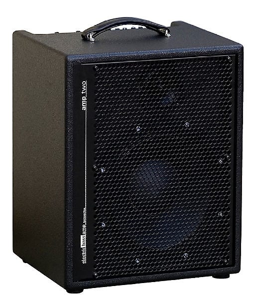 Aer on sale bass amp